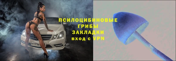стафф Абдулино