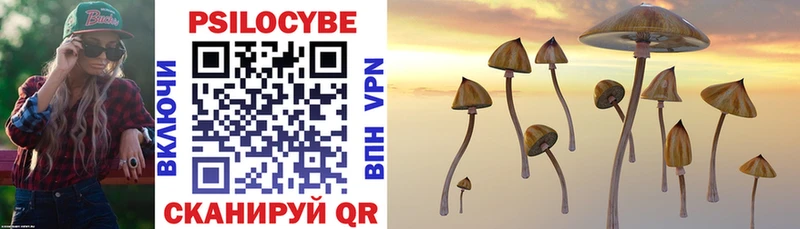 Псилоцибиновые грибы Cubensis  Ртищево 